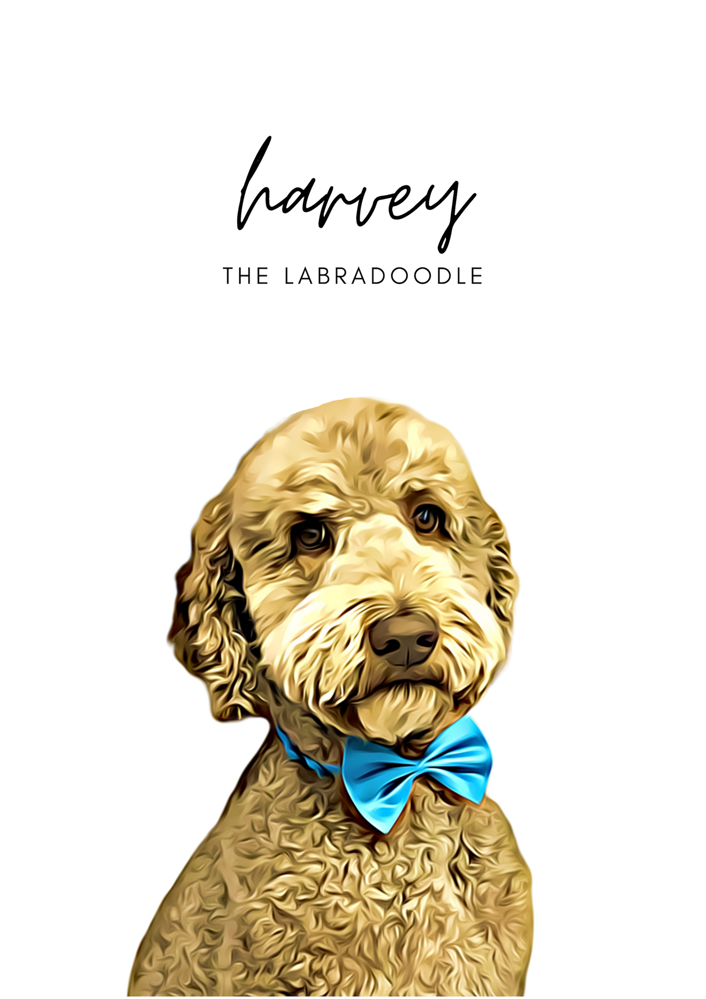 Classic Maxibon Pet Graphic Print