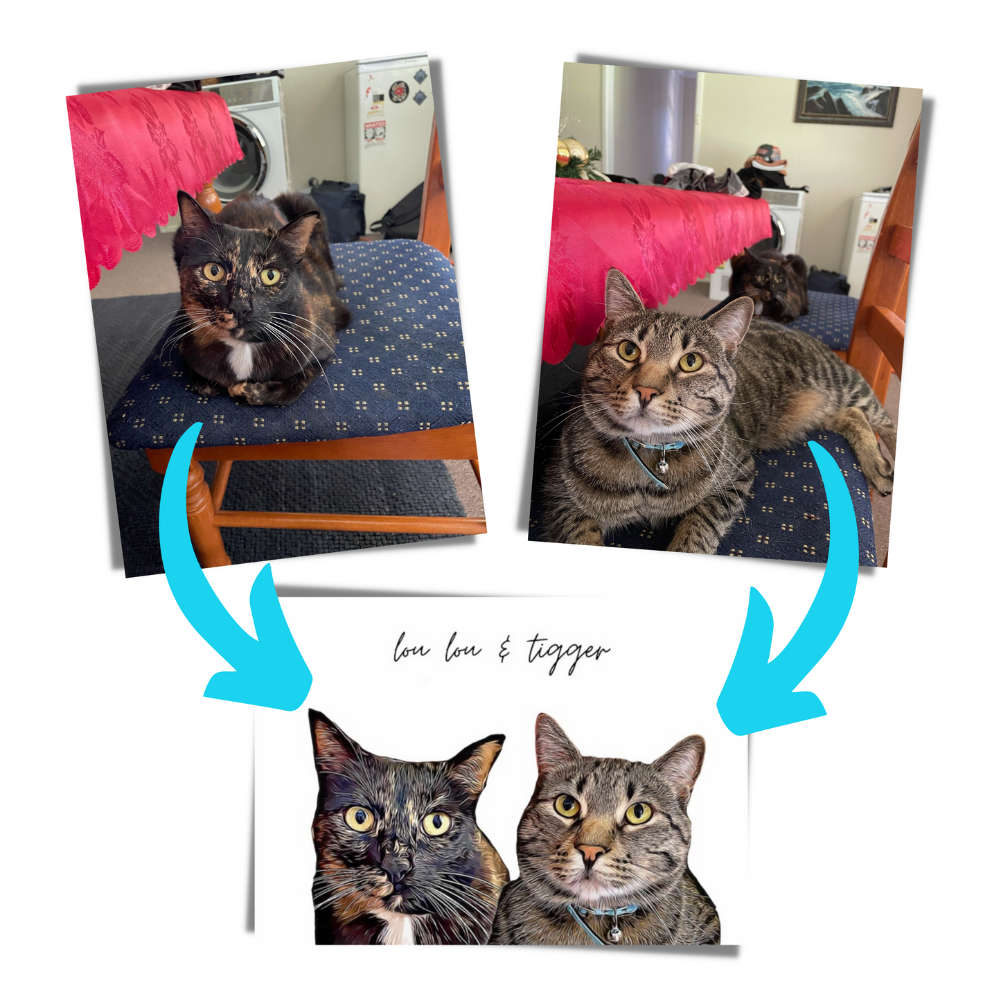 Additional Pet/Human (subject to approval)